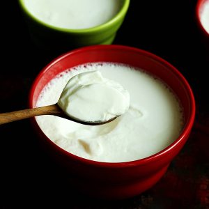 Fresh Curd